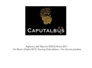 SANNIO TOP WINES 2014 - caputalbus